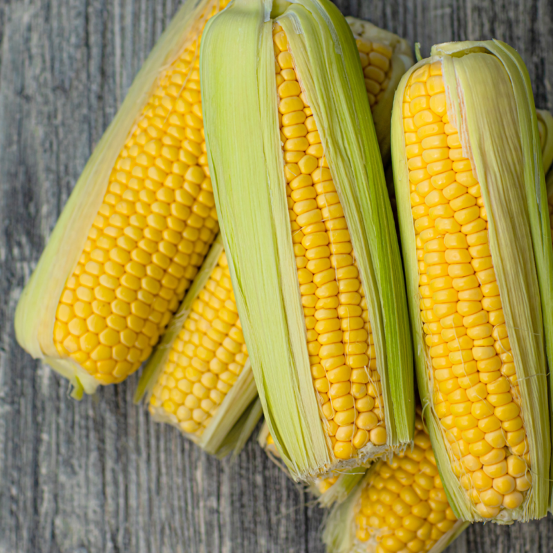 American Corn - Image 3