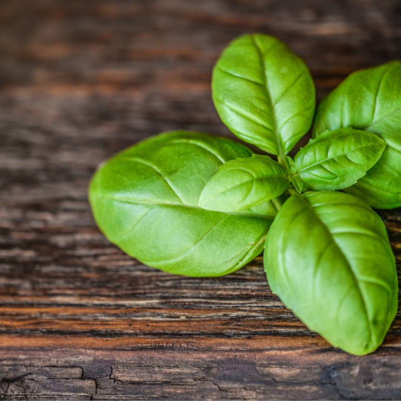Basil(pkt) - Image 2