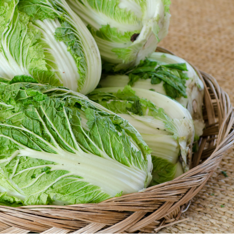 Chinese Cabbage(kg) - Image 2
