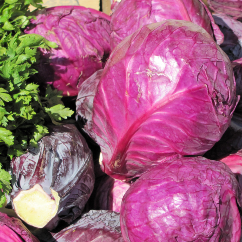 Red Cabbage(kg) - Image 3