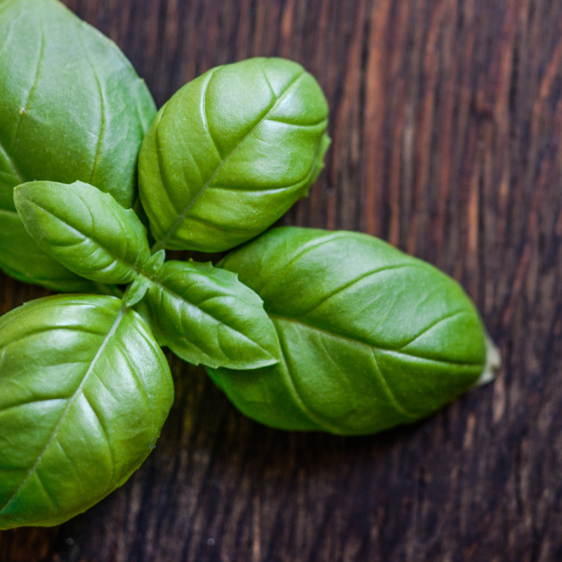 Basil(pkt) - Image 3