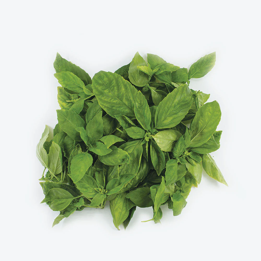 Basil(pkt)