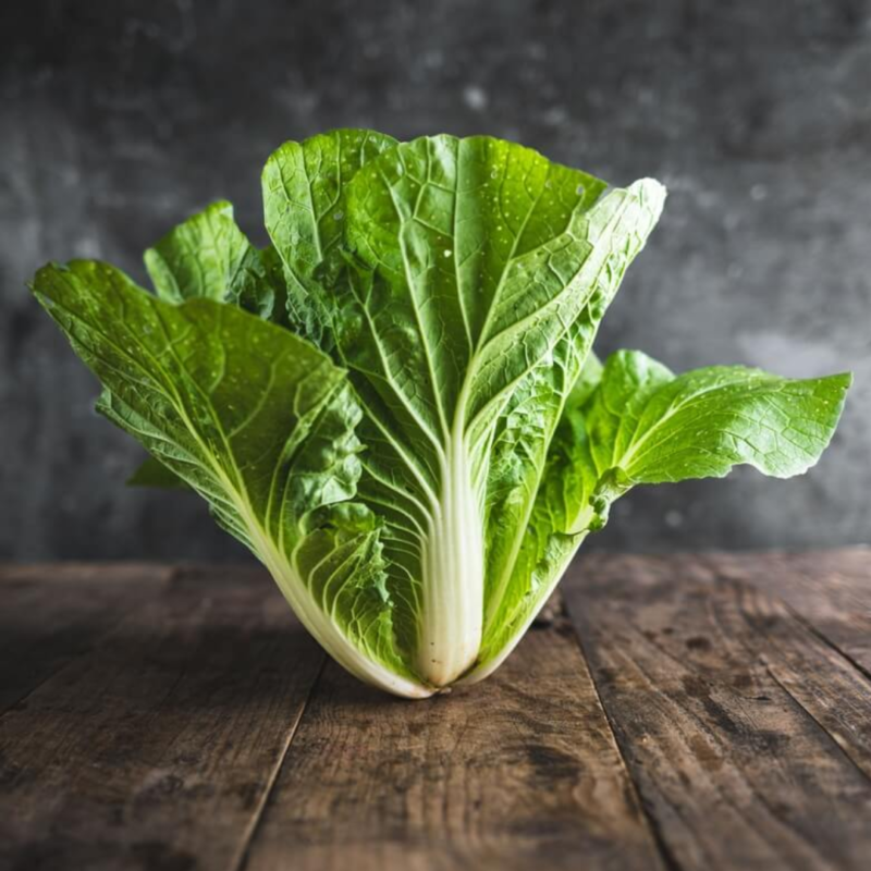 Chinese Cabbage(kg) - Image 3