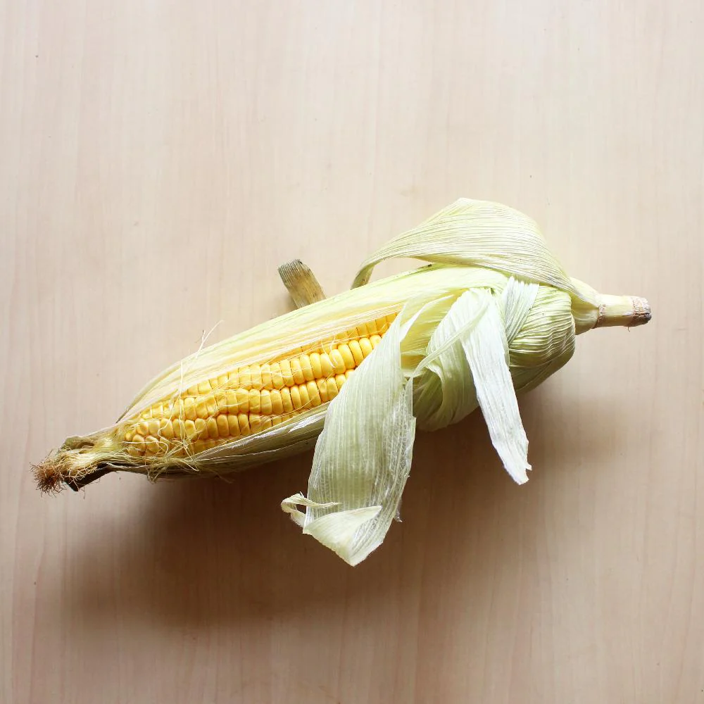 American Corn