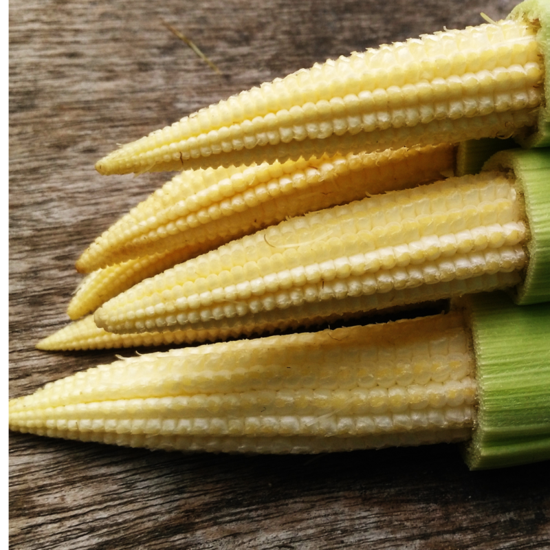 Baby Corn(kg) - Image 2