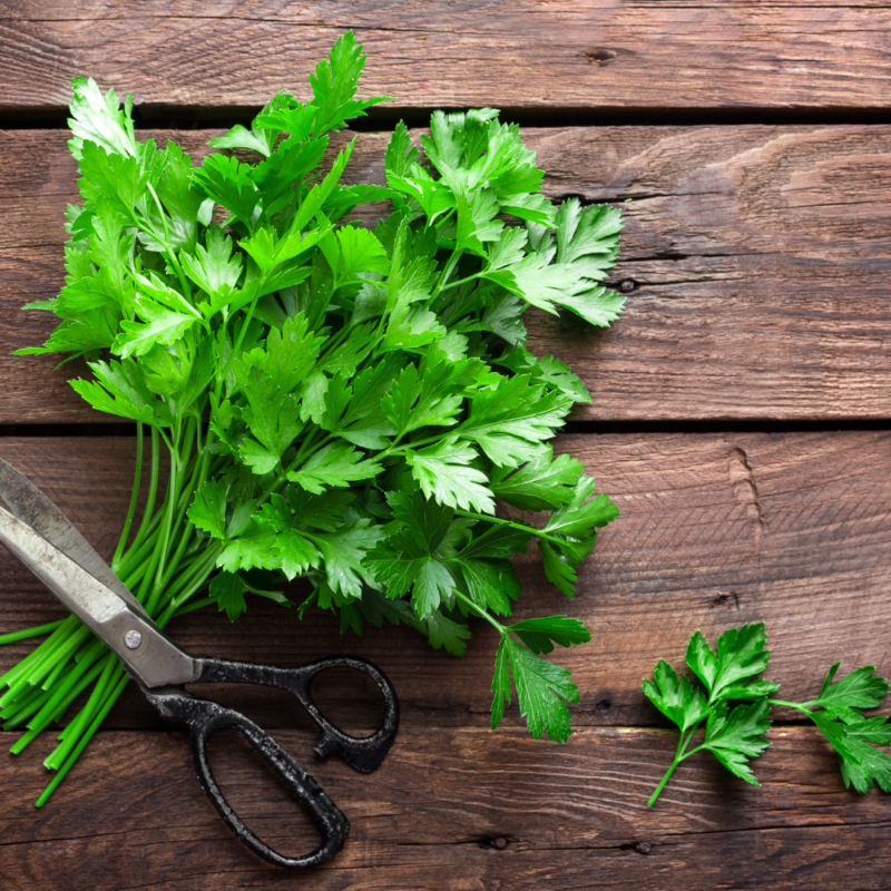 Parsley(pkt) - Image 3
