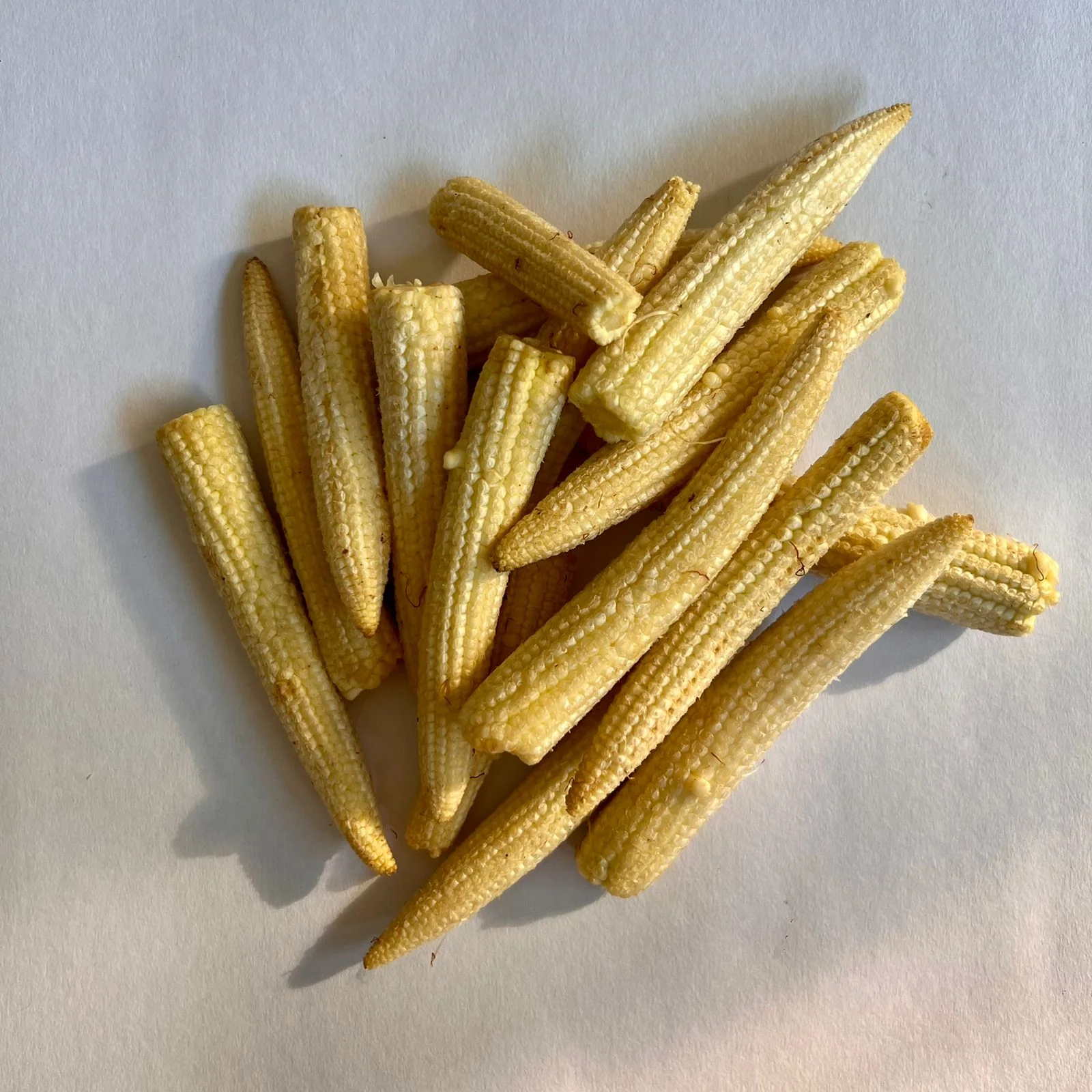 Baby Corn(pkt)