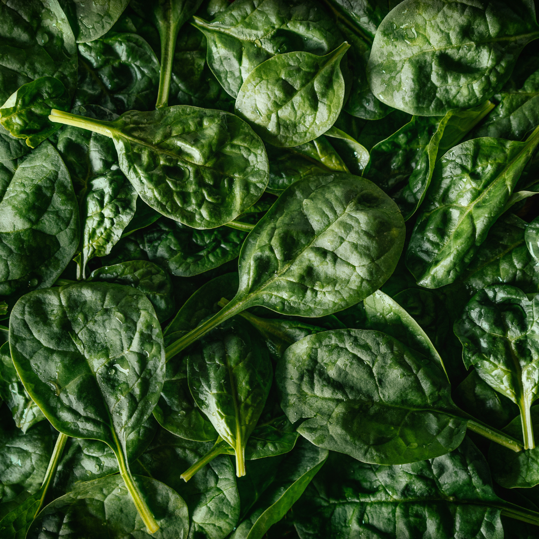 Baby Spinach(pkt)