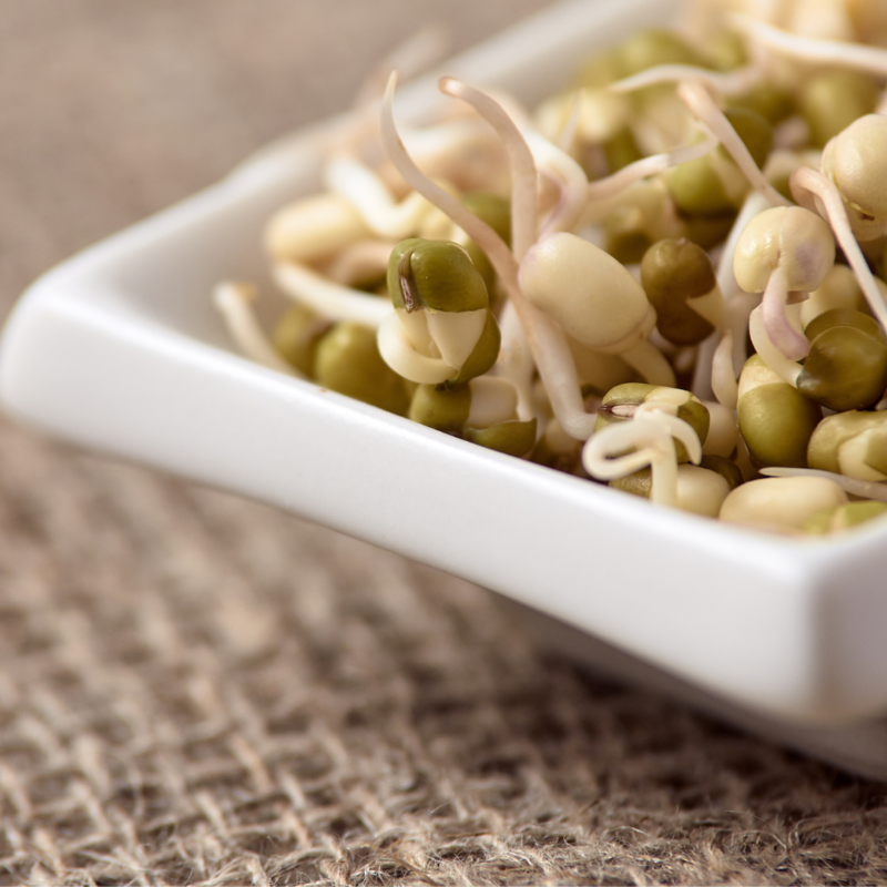 Beans Sprout(pkt) - Image 2