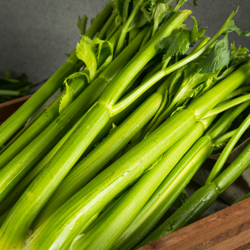 Celery(kg) - Image 3
