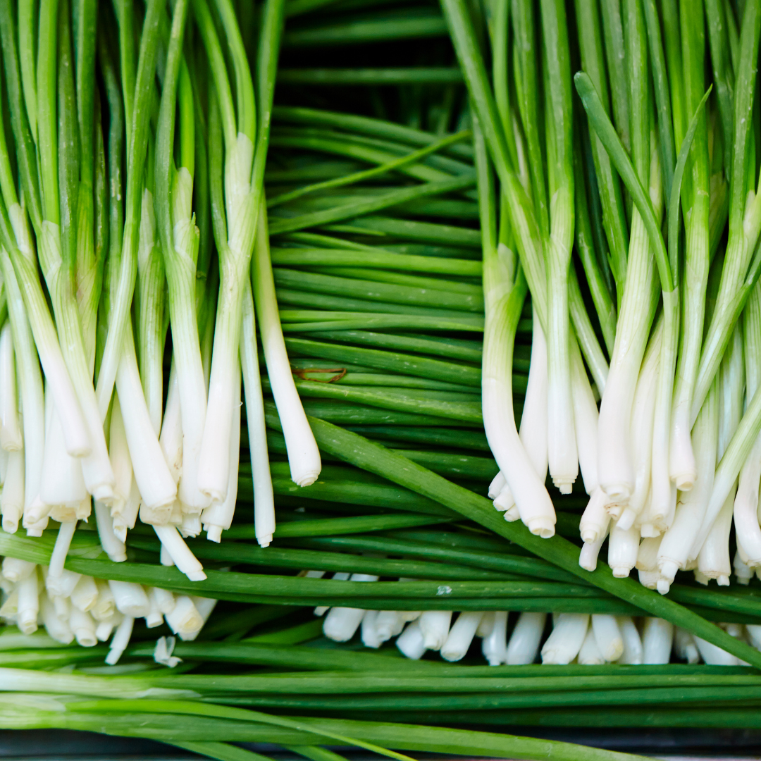 Chives Leaves(pkt)