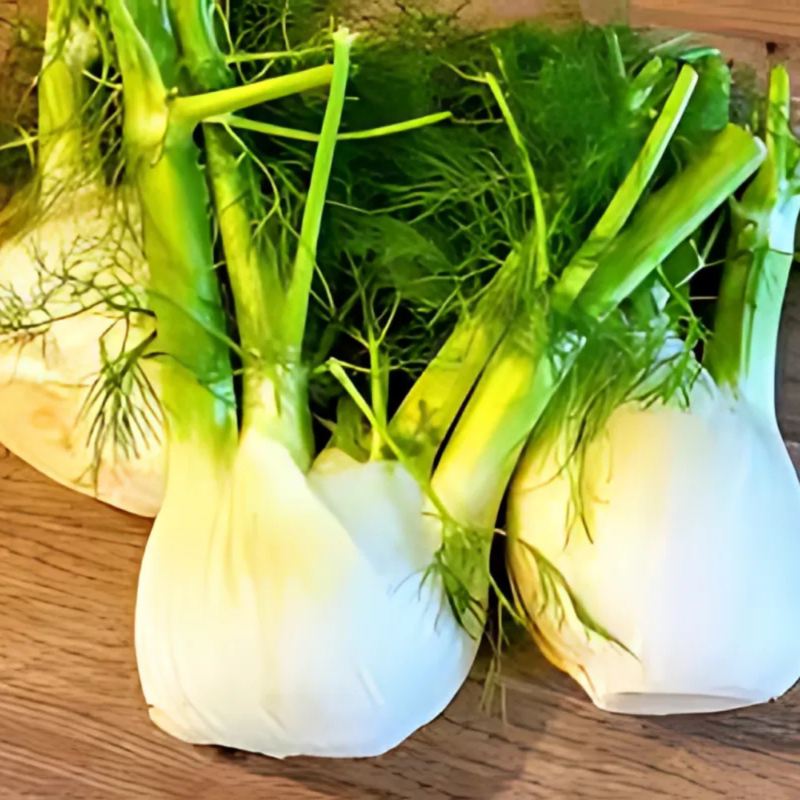 Fennel(kg) - Image 3