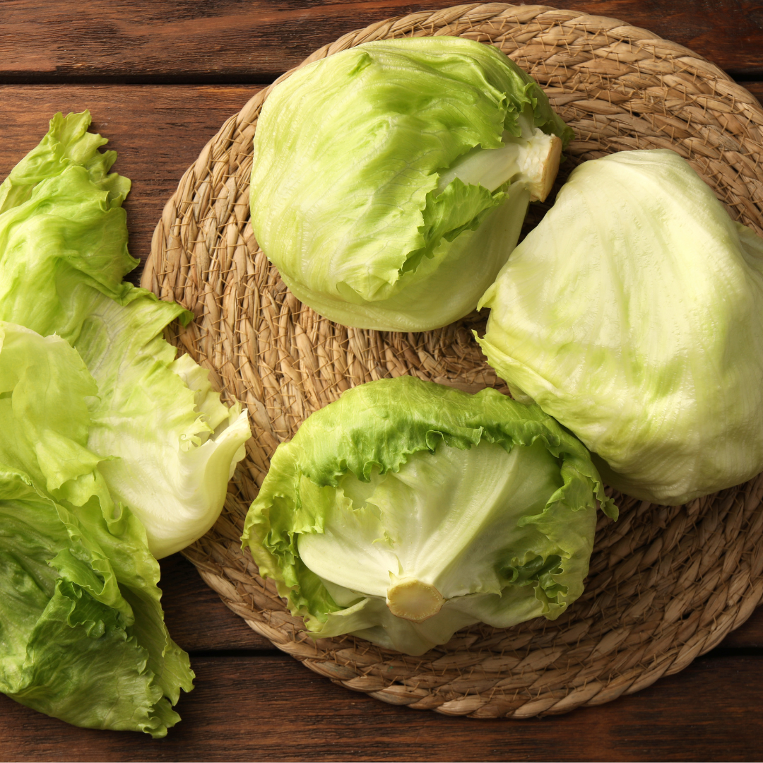 Lettuce Iceberg