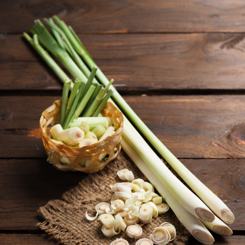 Lemon Grass(BDL) - Image 3
