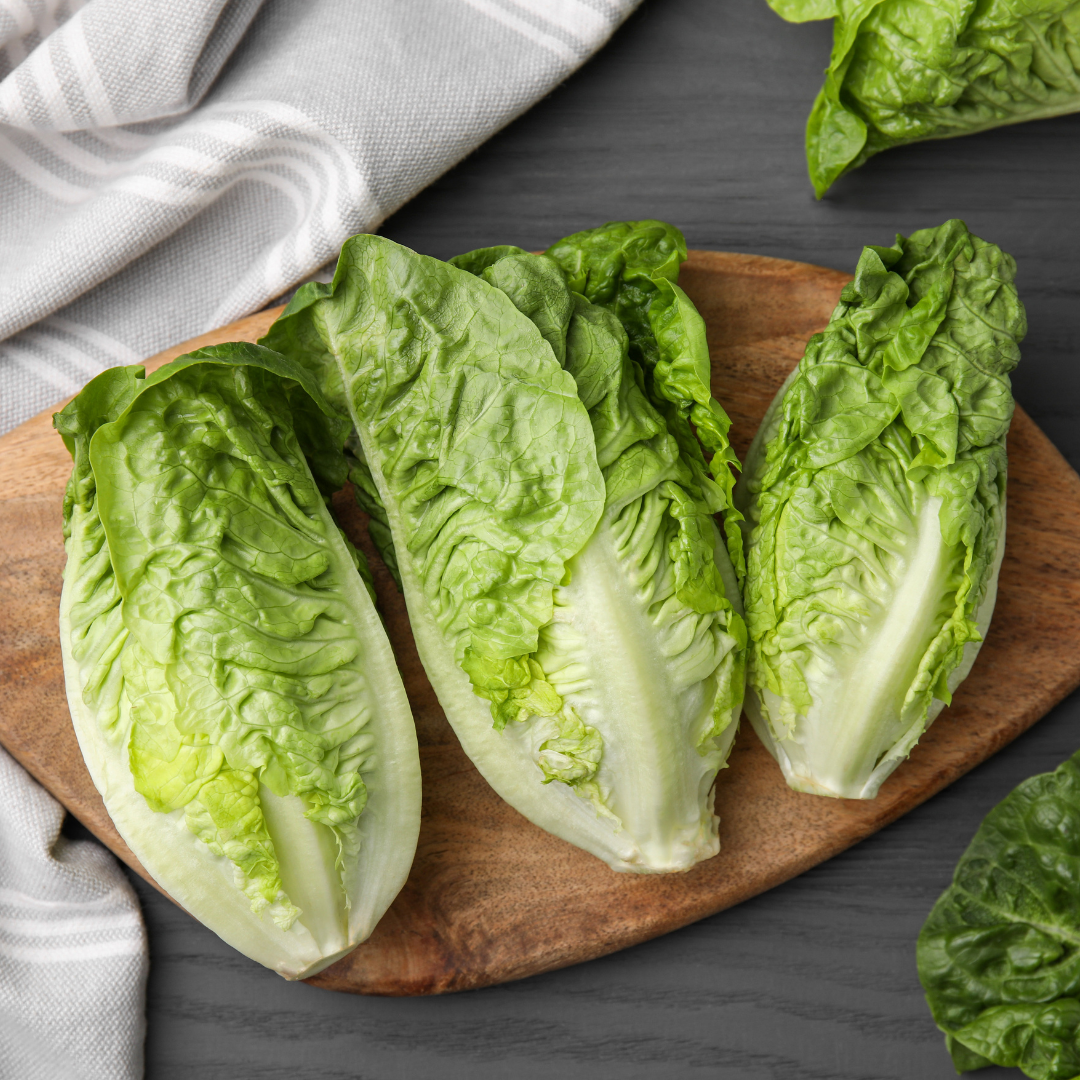 Lettuce Romaine