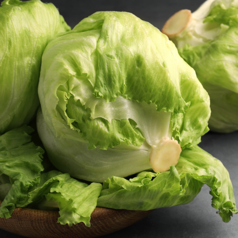 Lettuce Iceberg - Image 3