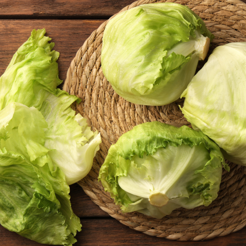 Lettuce Iceberg - Image 2