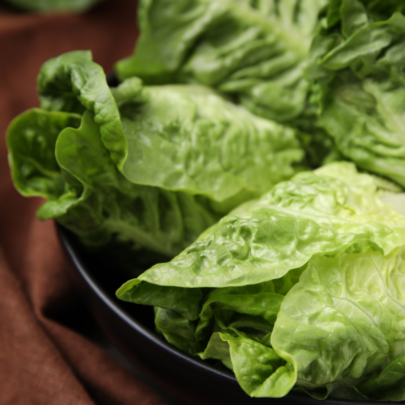 Lettuce Romaine - Image 3