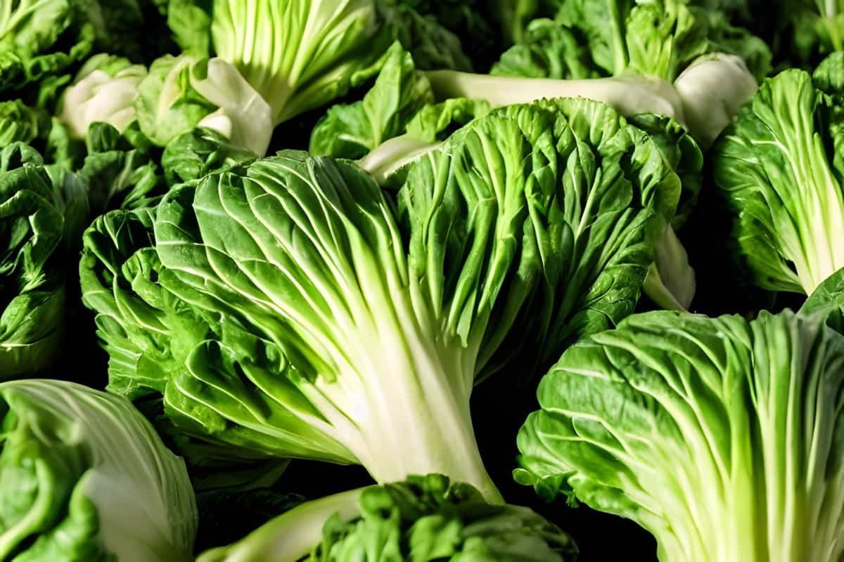 Pakchoi(kg)