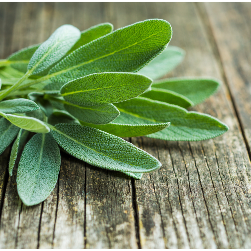 Sage Leaves(pkt) - Image 2
