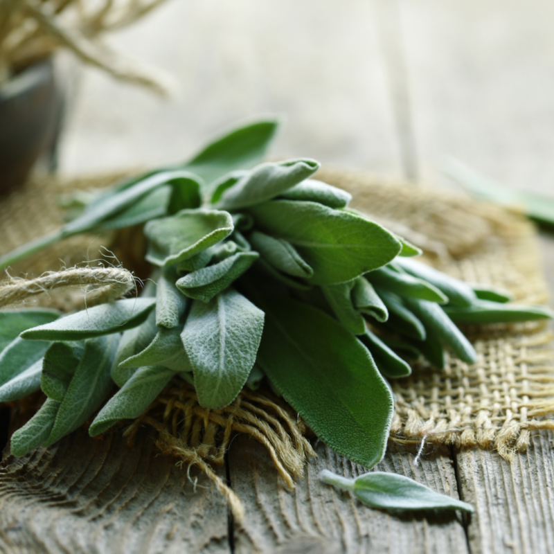 Sage Leaves(pkt) - Image 3