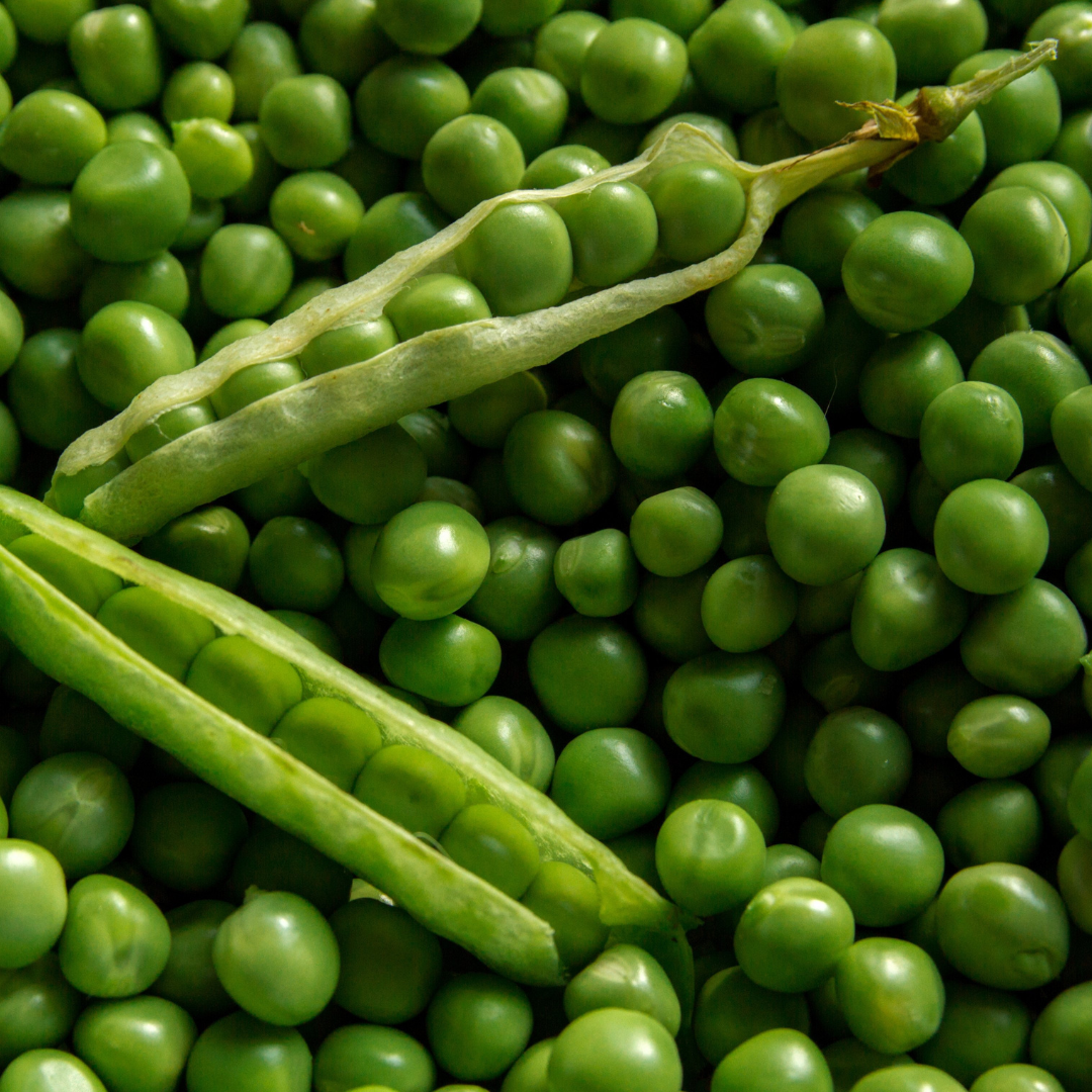 Snow Peas(pkt)
