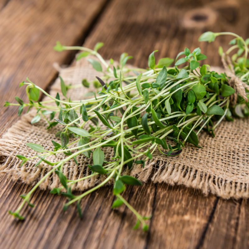 Thyme(pkt) - Image 3