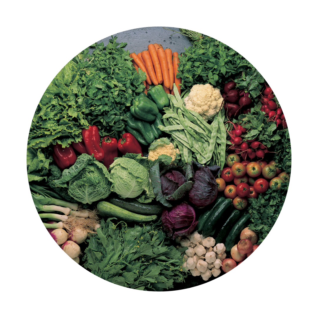 Vegetable1 new