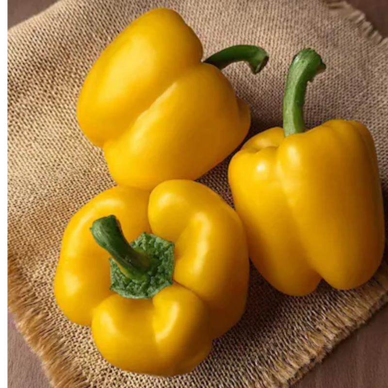 Yellow Capsicum(kg) - Image 2