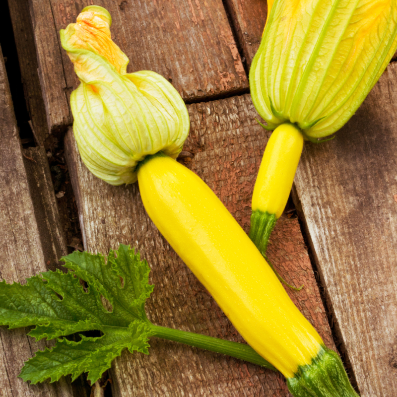 Zucchini Yellow(kg) - Image 2