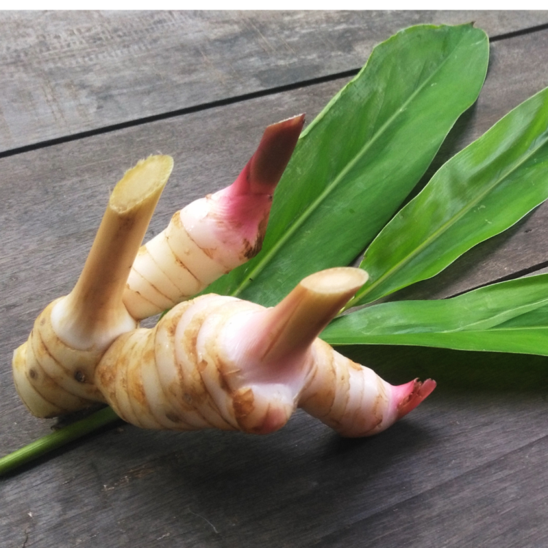 Galangal(kg) - Image 3