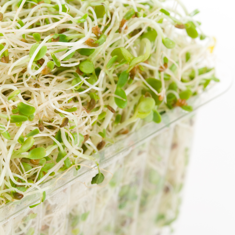 Alfalfa Sprouts (pkt) - Image 2