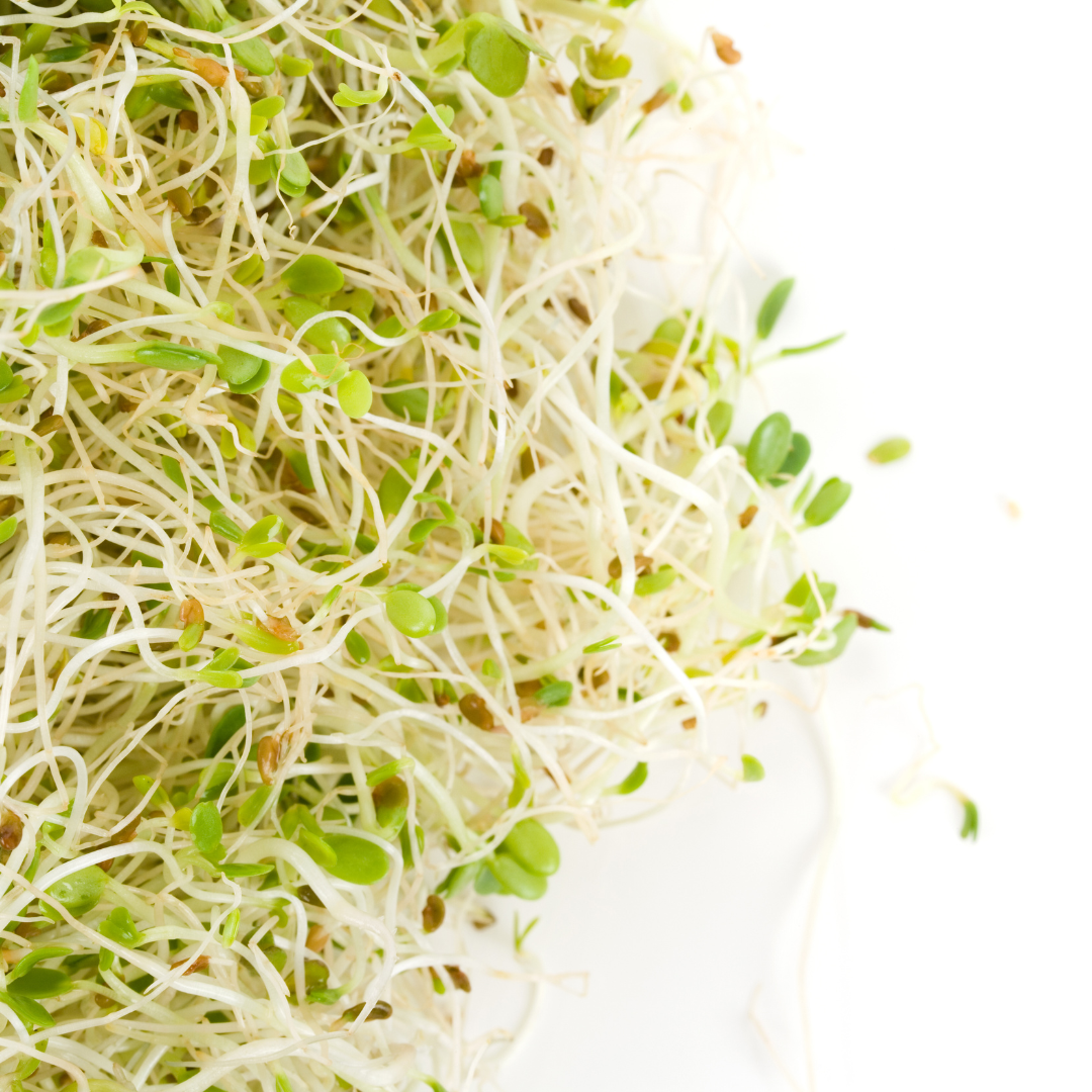 Alfalfa Sprouts (pkt)