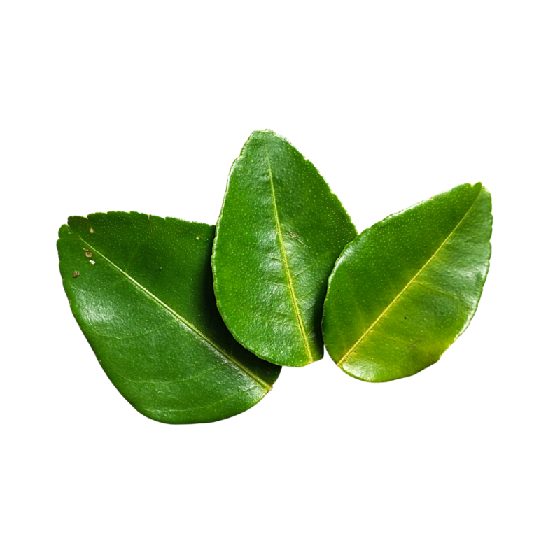 Makroot Leaves Imp(pkt) - Image 2