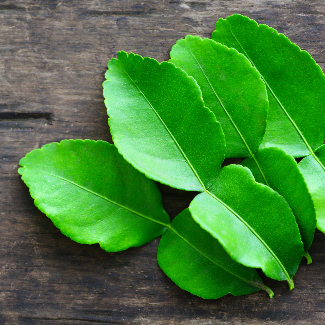 Makroot Leaves Imp(pkt)