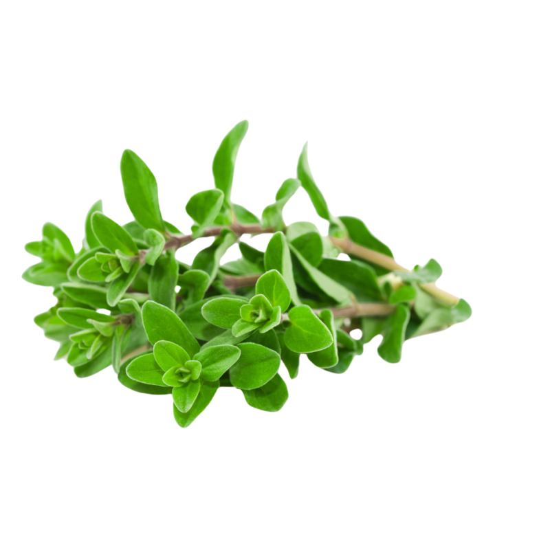 Marjoram leaves(pkt) - Image 2